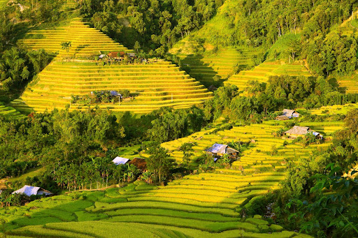 Rừng núi Đông Bắc